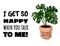 I get so happy when you talk to me cute kawaii succulent plant postcard. Monstera potted succulent plant banner. Cozy lagom