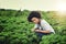 I grow my money the organic way. an attractive young female farmer working the fields.