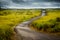 I Hiking Trail In The Rain During An Autumn Storm As The Dark Rolling Clouds In The Horizon Closing In At Long Beach Washington