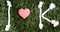 I and K letters and three paper heart cut outs on grass.