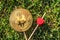 I love bitcoin. Bitcoins and red heart on green grass background front side.