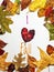 I love fall frame natural colorful leaves love heart shape