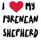 I love my pyrenean shepherd