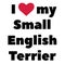 I love my small english terrier