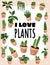 I love plants postcard. Potted succulent plants banner. Cozy lagom scandinavian style poster