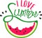 I love summer watermelon slice