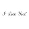 I love you. Valentines Day Hand Lettering Card. Modern Calligraphy. Vector Illustration.
