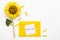 I miss you message card handwriting in yellow envelope with yellow flower sunflower arrangement flat lay postcard style
