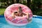 I am one pool kid. Happy kid swim in dount pool float. Summer vacation. Summertime. Keep swimming