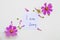 I am sorry message card handwriting with pink  flowers cosmos arrangement flat lay postcard style
