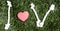 I and V letters and three paper heart cut outs on grass.