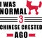 I was normal 3 Chinese Cresteds ago