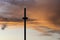 I360 in Brighton at sunset with seagulls