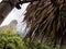 Iao needle against bungalow roof