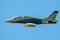 IAR 99 Hawk in flight closeup - military airplane in flight - IAR 99 SOIM, two Romanian pilots