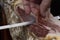 Iberian ham cutter, selective focus