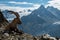 Ibex , French alps