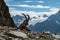 Ibex , French alps