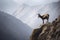 ibex surveying its surroundings from a cliffside perch