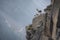 ibex surveying the valley below from its perch on a cliffside