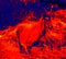Ibexes, wild goat infrared
