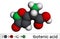 Ibotenic acid psychoactive drug molecule. It is non-proteinogenic alpha-amino acid, neurotoxin. Is found in AMANITA mushrooms.