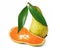 Ibrid fruit pear-orange