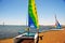 Ica Paracas Bay with its beaches and catamaran sailboat with colored sails in the Pacific Ocean of Peru