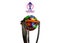 ICC Mens Cricket World Cup 2023 in India
