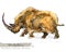 Ice Age wildlife. prehistoric period fauna. Woolly Rhino.