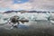 Ice burgs in all shapes and sizes float around Jokulsarlon Glacier Lagoon in Iceland
