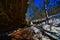 Ice cave trail wildcat mountain state park in Winter