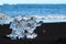 Ice Chunk Scattered on Black Sand at Diamond Beach in Iceland