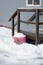 Ice covered doorsteps of portable building with pink flowerbed on side