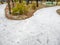 Ice-covered footpaths and frozen lawn in city park