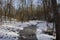 Ice covered hiking trail in snow covered forest