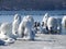 Ice covered old pier pilings with geese and ducks on Cayuga Lake