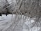 Ice covered twigs and branches with snowy road. slippery road and hazard. bad weather concept