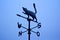 Ice covered weather vane