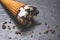 Ice cream cone chocolate vanilla on the dark background - ice cream scoops  chocolate chunks popsicle and sweet dessert