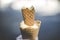Ice cream cone in an ice cream cone, depth of field blurry background