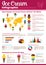 Ice cream cone, sundae dessert infographic design