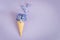 Ice cream horn or cone with purple hyacinth on a purple background.