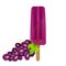 The Ice cream isolated on white background, the dark cherry popsicle with grape flavored, realistic 3d illustration, Vector EPS 10