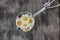 Ice cream metal scoop or spoon with edible chamomile flowers on a rustic wooden table