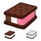 Ice cream sandwich