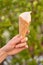 Ice cream in a waffle cone. Hand holds ice cream on background of green foliage