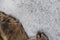 Ice crystals form around rocks in the Little Truckee River, California, USA