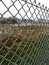 Ice crystals on a green wire mesh fence