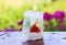 Ice cube with strawberry, lemon and fresh green mint leaves on wooden surface outdoors